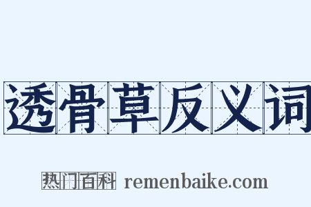 透骨草反义词是什么意思的图片